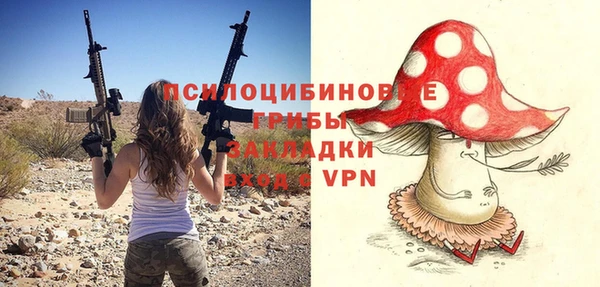mix Пестово