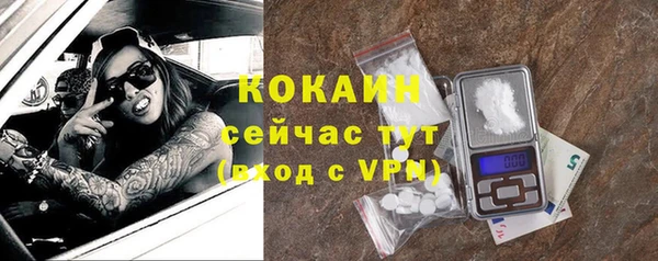 стафф Пересвет