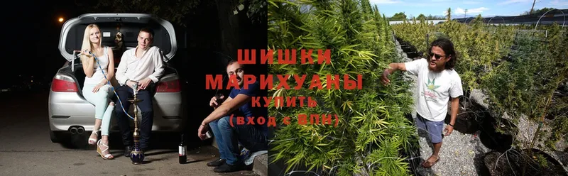 сайты даркнета клад  mega как войти  Анива  наркотики  Марихуана Amnesia 